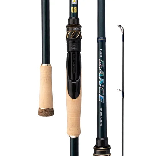 Spinning Rod with Spinning Reel F8248