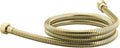 Polished Brass 60-Inch Metal Shower Hose Q735
