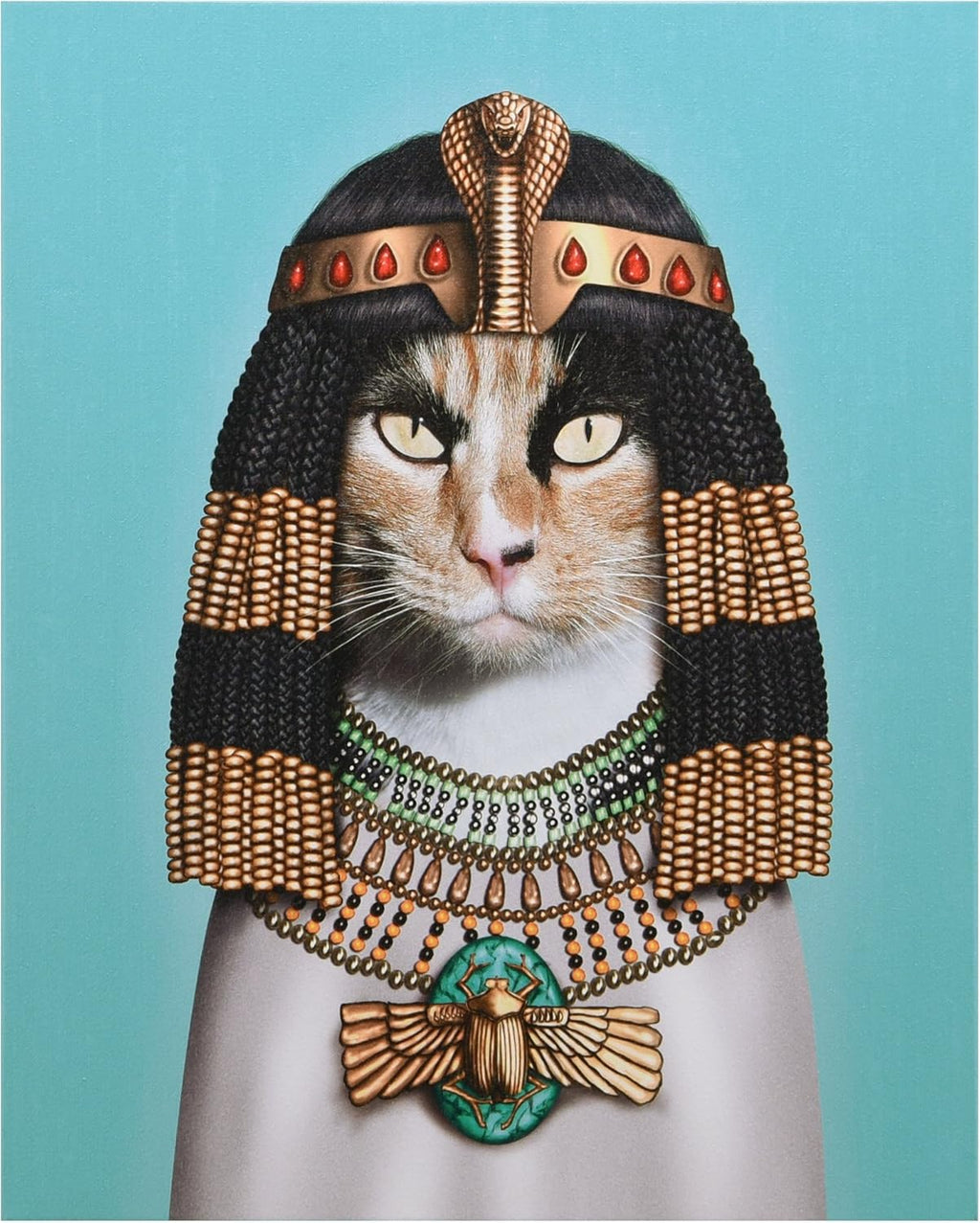 Cat Canvas Wall Art, 20 x 16 x 2 H267