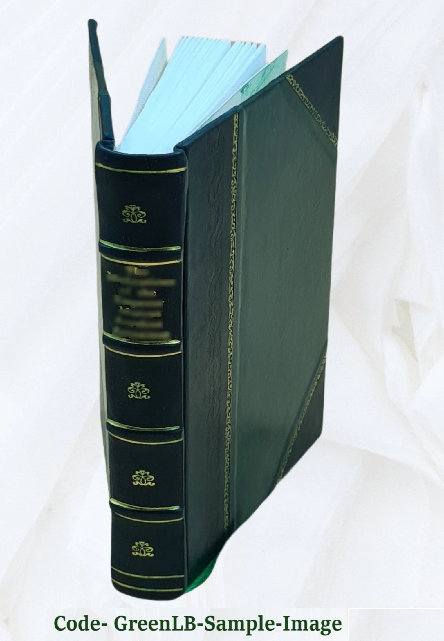 Leather Bound Book T51910