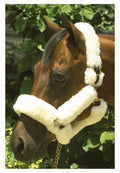 Sheepskin Shipping Halter, Havana, COB S769