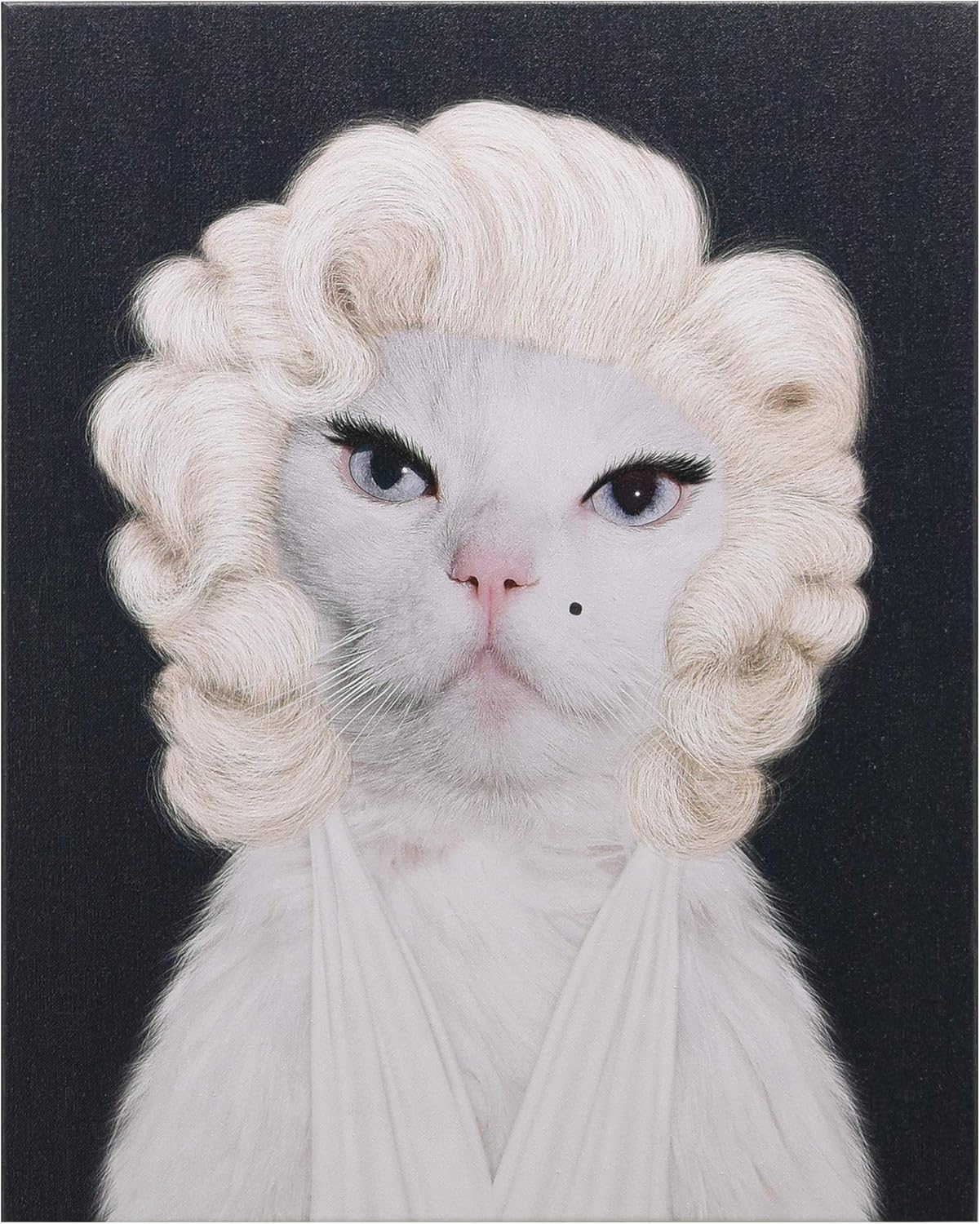 Cat Canvas Wall Art, 20 x 16 x 2 H267