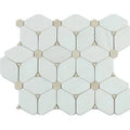 Polished Marble Mosaic Tile R180