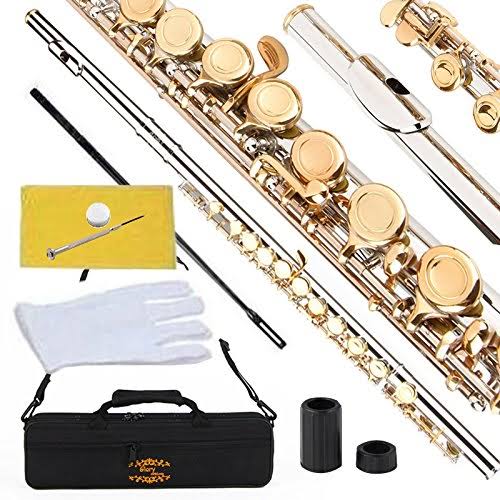 Closed Hole C Flute with Case, Tuning Rod and Cloth, Joint Grease and Gloves L6032