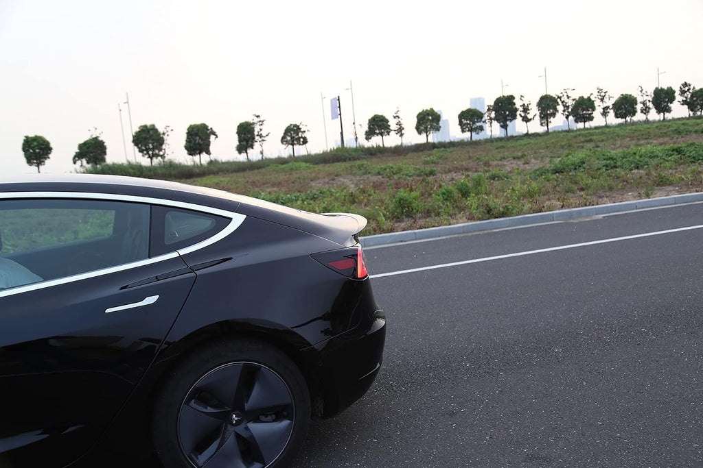 Carbon Fiber Pattern Spoiler for Tesla Model 3, Pack of 2 O670001