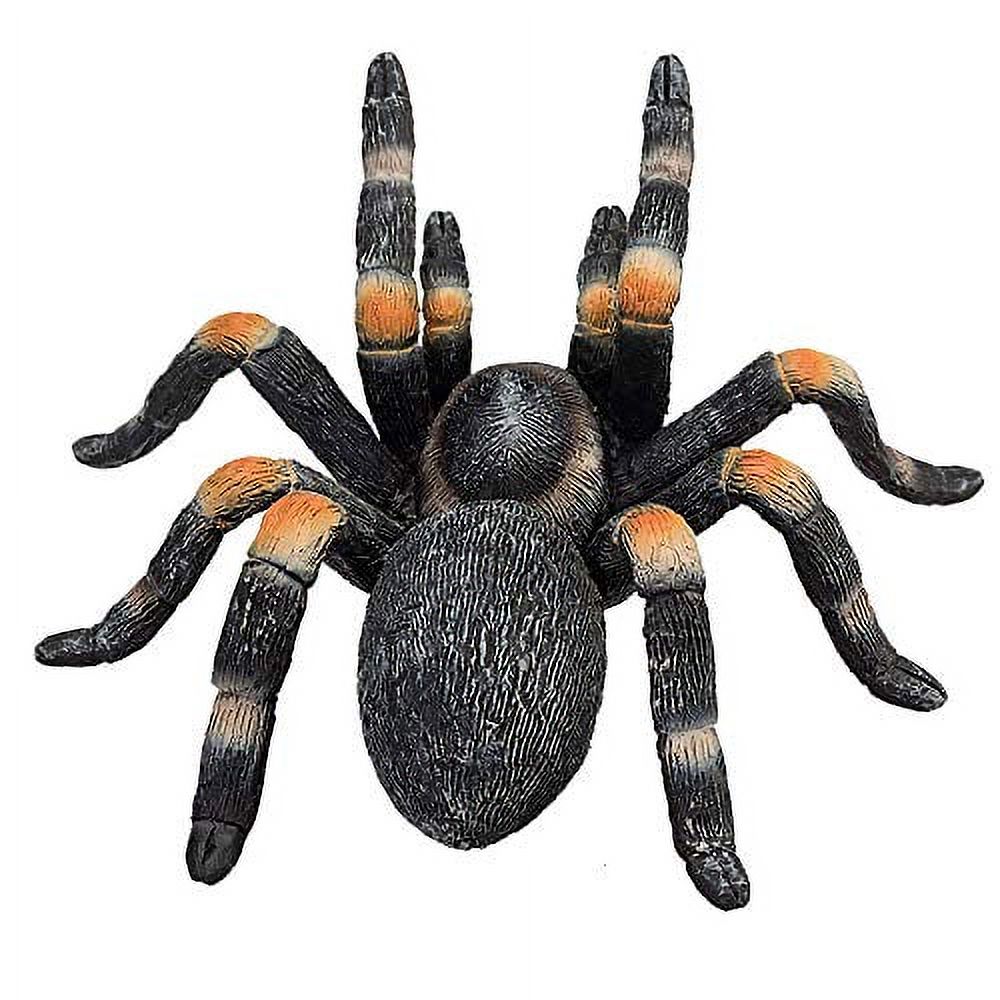 Red Kneed Tarantula Animal Figure D6934
