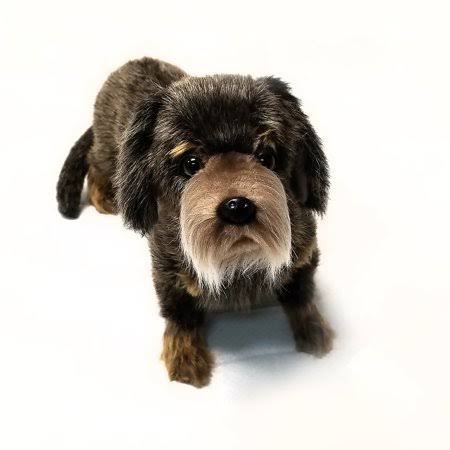 Long Haired Dachshund 13 inch N62335