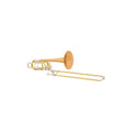 Double Rotor Bass Trombone T897