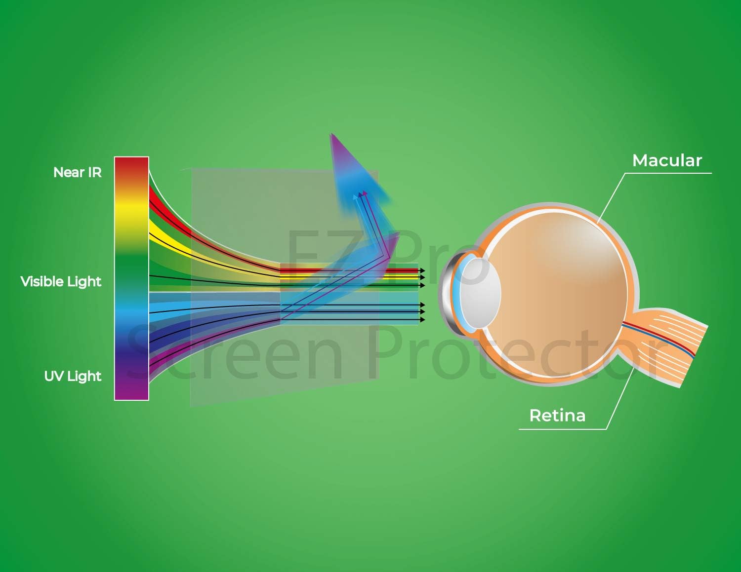 22 Inches Widescreen Desktop Monitor Screen Filter Pack of 2 L6144