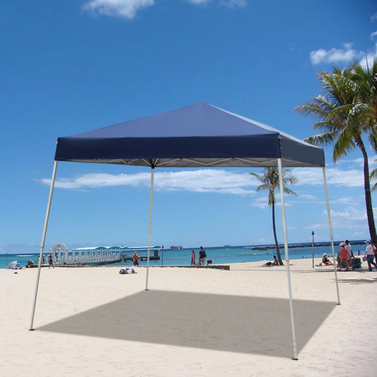Folding Canopy Tent Pavilion with Bag H365