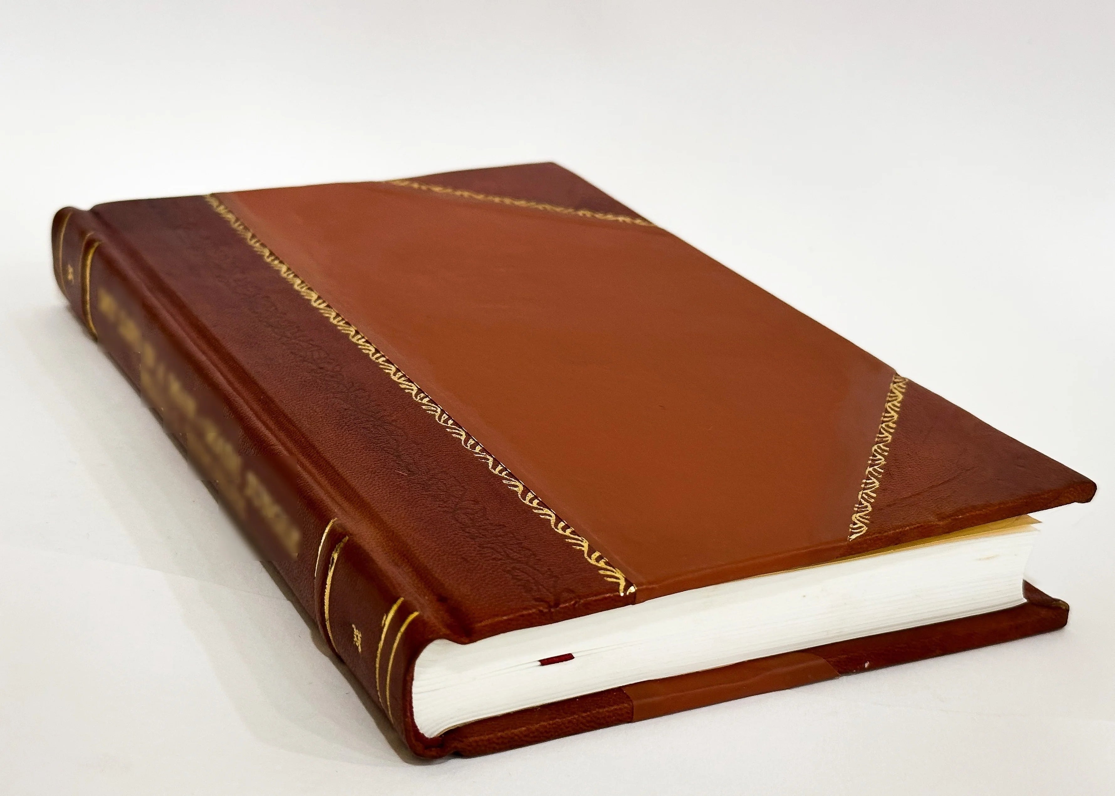 Heelkundige Waarnemingen (Leather Bound) R8423