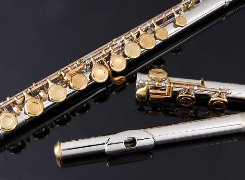 Closed Hole C Flute with Case, Tuning Rod and Cloth, Joint Grease and Gloves L6032