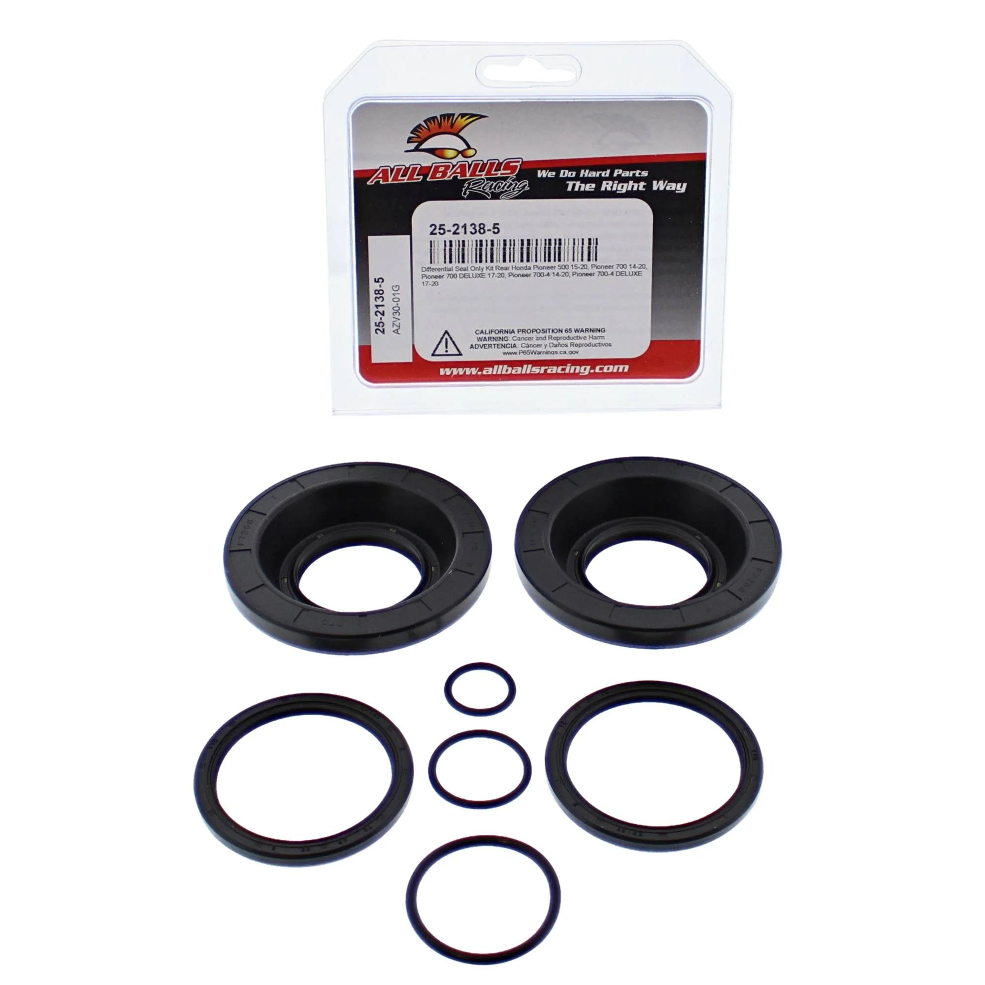 Differential Seal Kit N389444