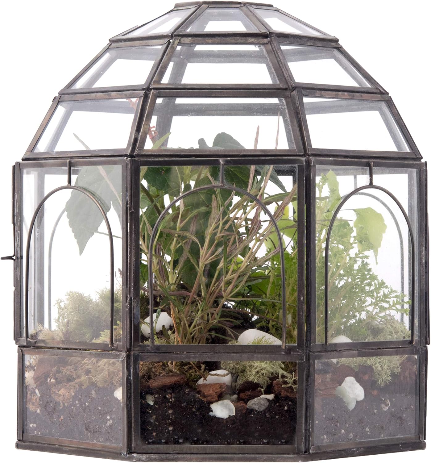 Large Glass Terrarium Y707124
