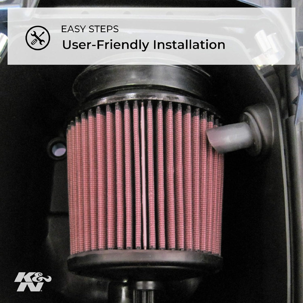 Engine Air Filter Pack of 2 P705