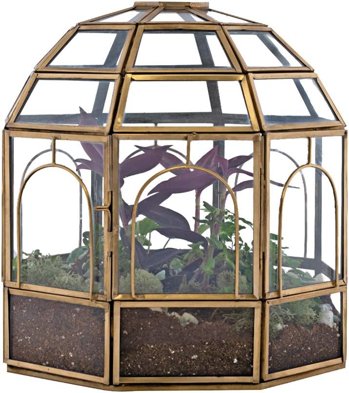 Large Glass Terrarium Y707124
