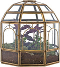 Large Glass Terrarium Y707124
