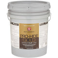 Exterior Paint, 5 Gallon R555122