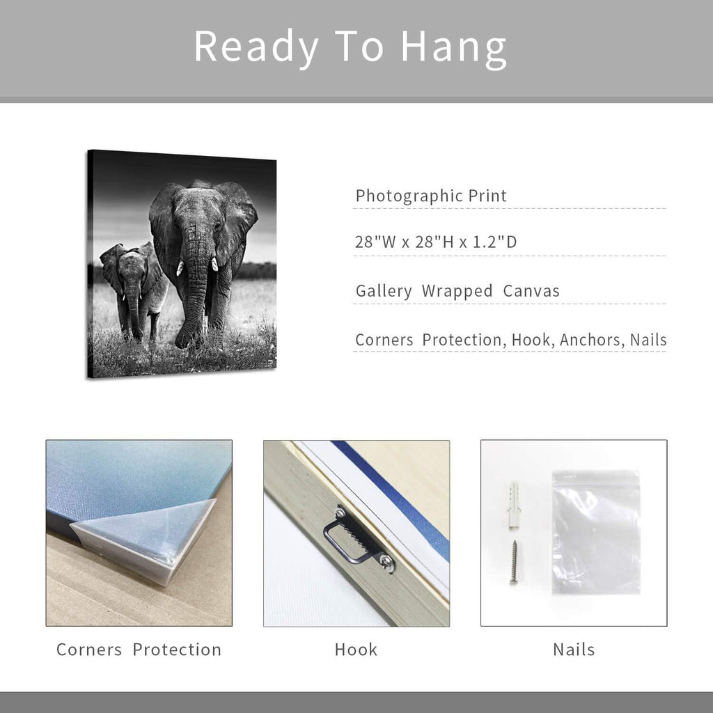 Black and White Elephant Mama and Baby Print on Canvas Wall Decor X42714