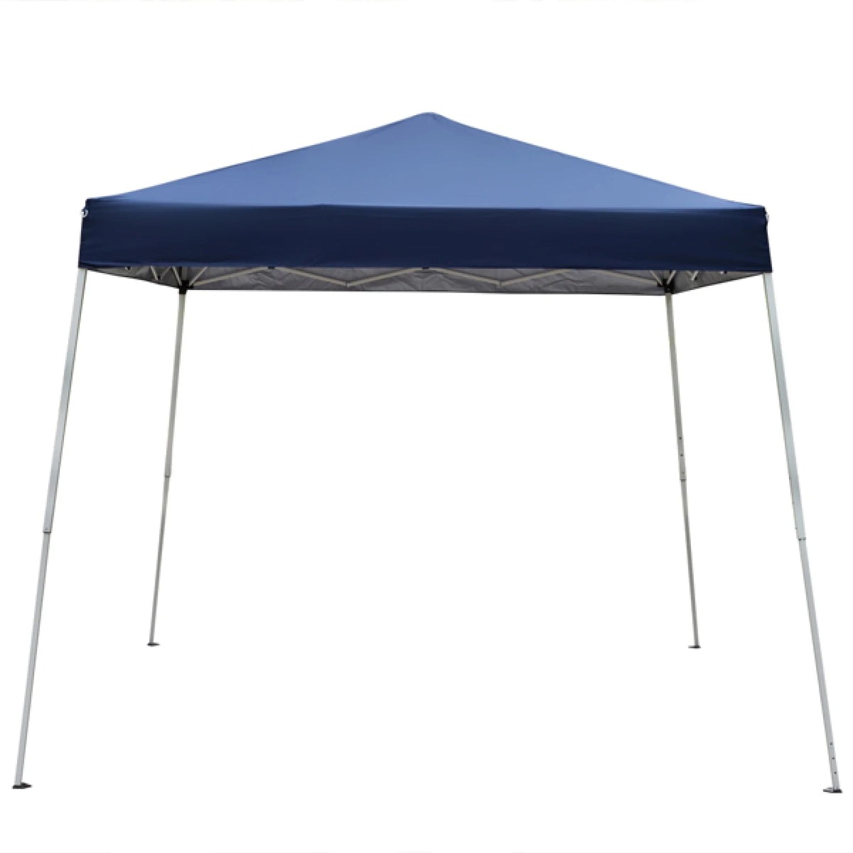 Folding Canopy Tent Pavilion with Bag H365