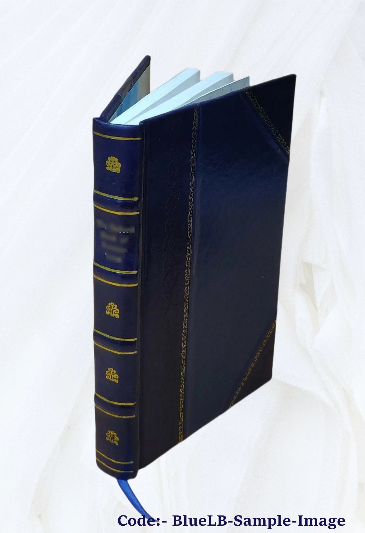 Leather Bound Book W164