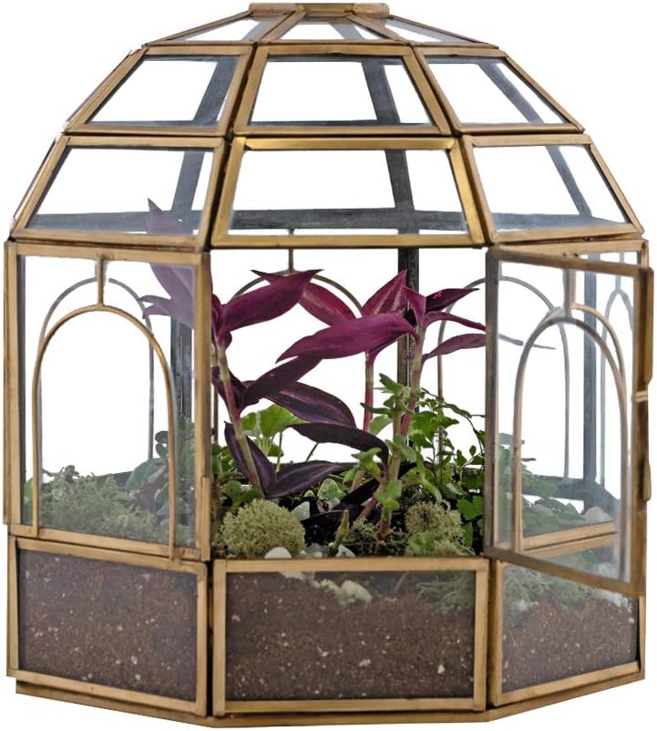 Large Glass Terrarium Y707124