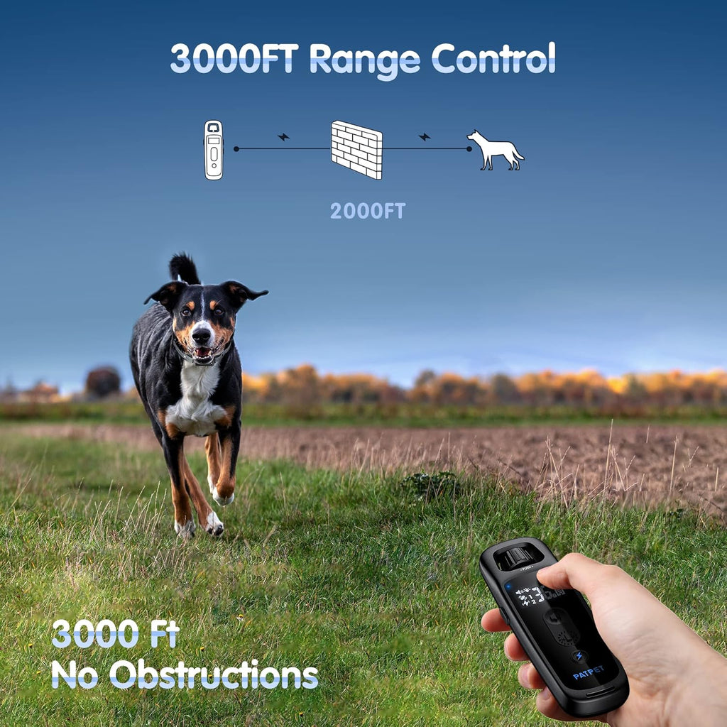 Electric Dog Training Collar with Remote, Pack of 2 K3733