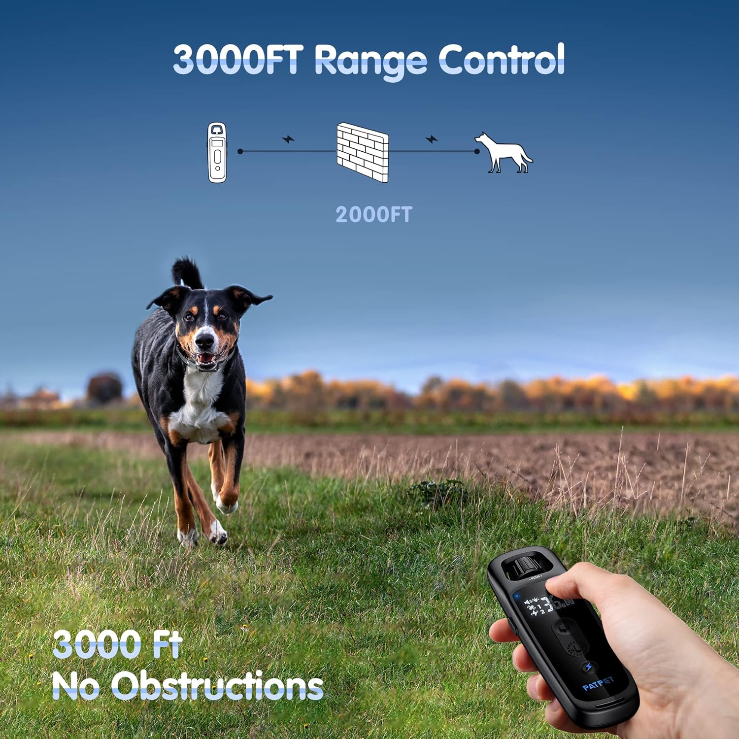 Electric Dog Training Collar with Remote, Pack of 2 K3733