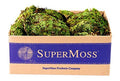 Royal Pool Moss Preserved, Fresh Green, 3lbs A12315