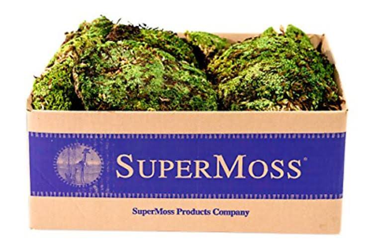 Royal Pool Moss Preserved, Fresh Green, 3lbs A12315