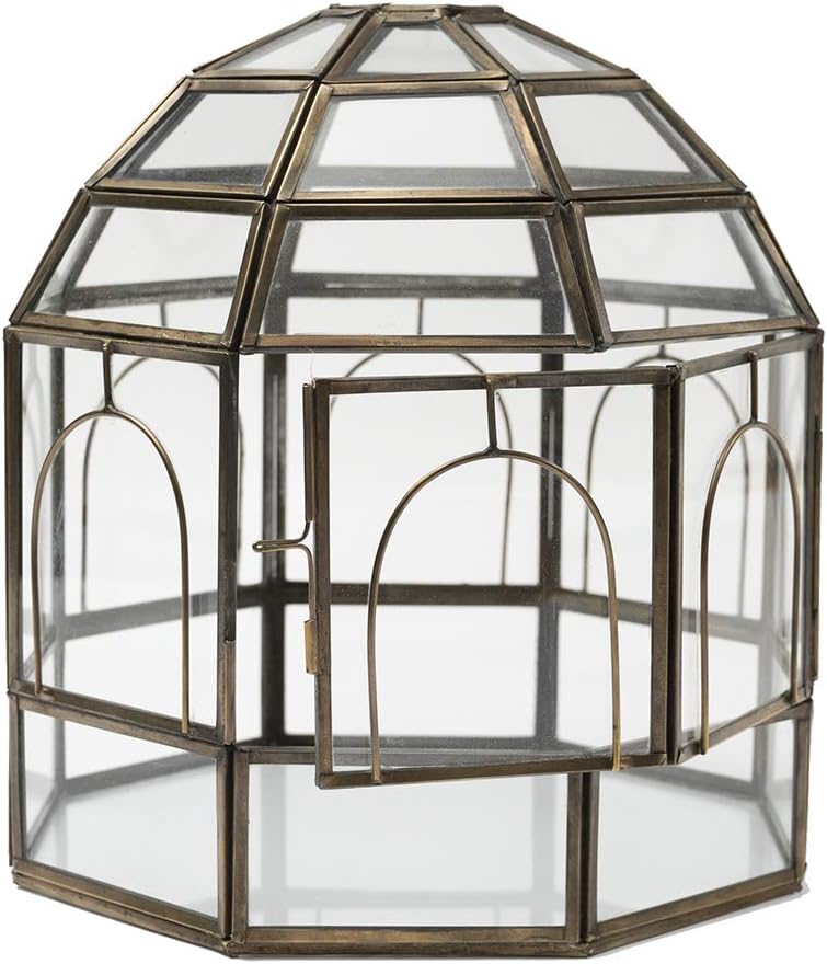 Large Glass Terrarium Y707124