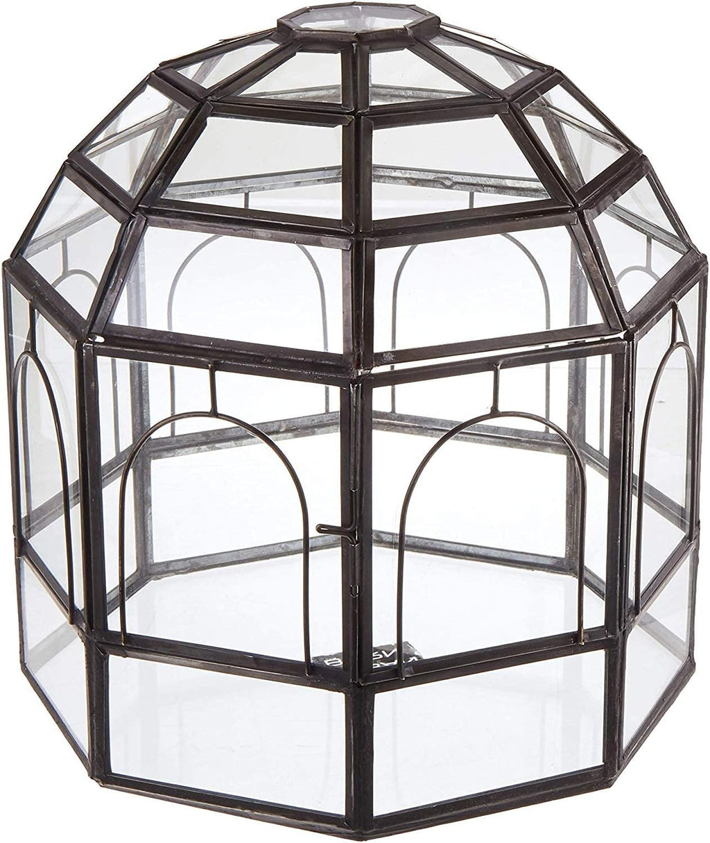 Large Glass Terrarium Y707124