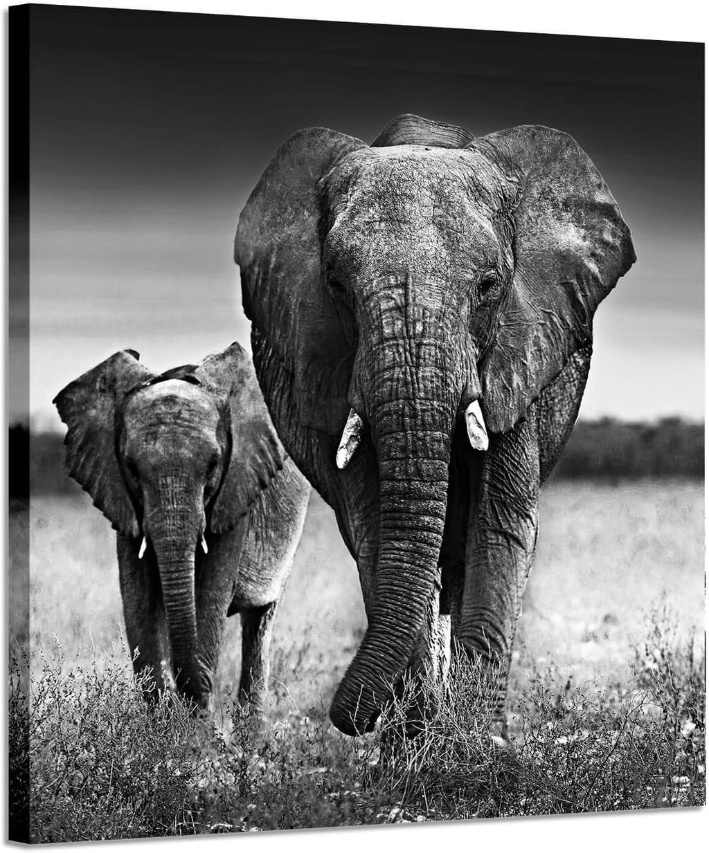 Black and White Elephant Mama and Baby Print on Canvas Wall Decor X42714
