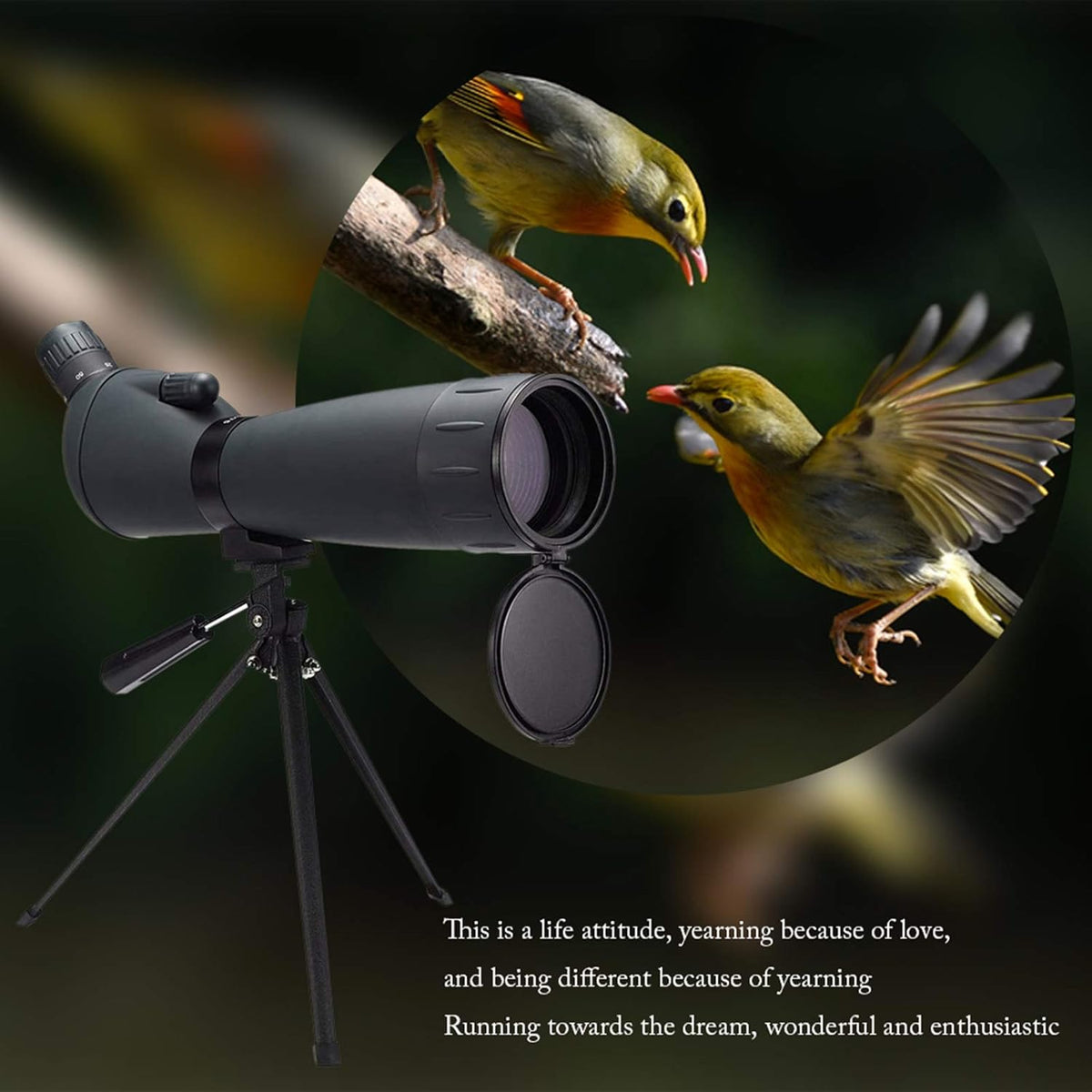 20-60x60 HD Spotting Scope with Tripod, BAK4 Prism, Waterproof H8616