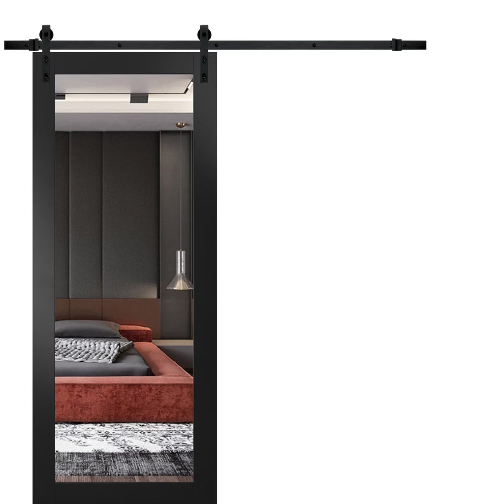 Matte Black Barn Door with Mirror Hardware Set R263