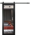 Matte Black Barn Door with Mirror Hardware Set R263