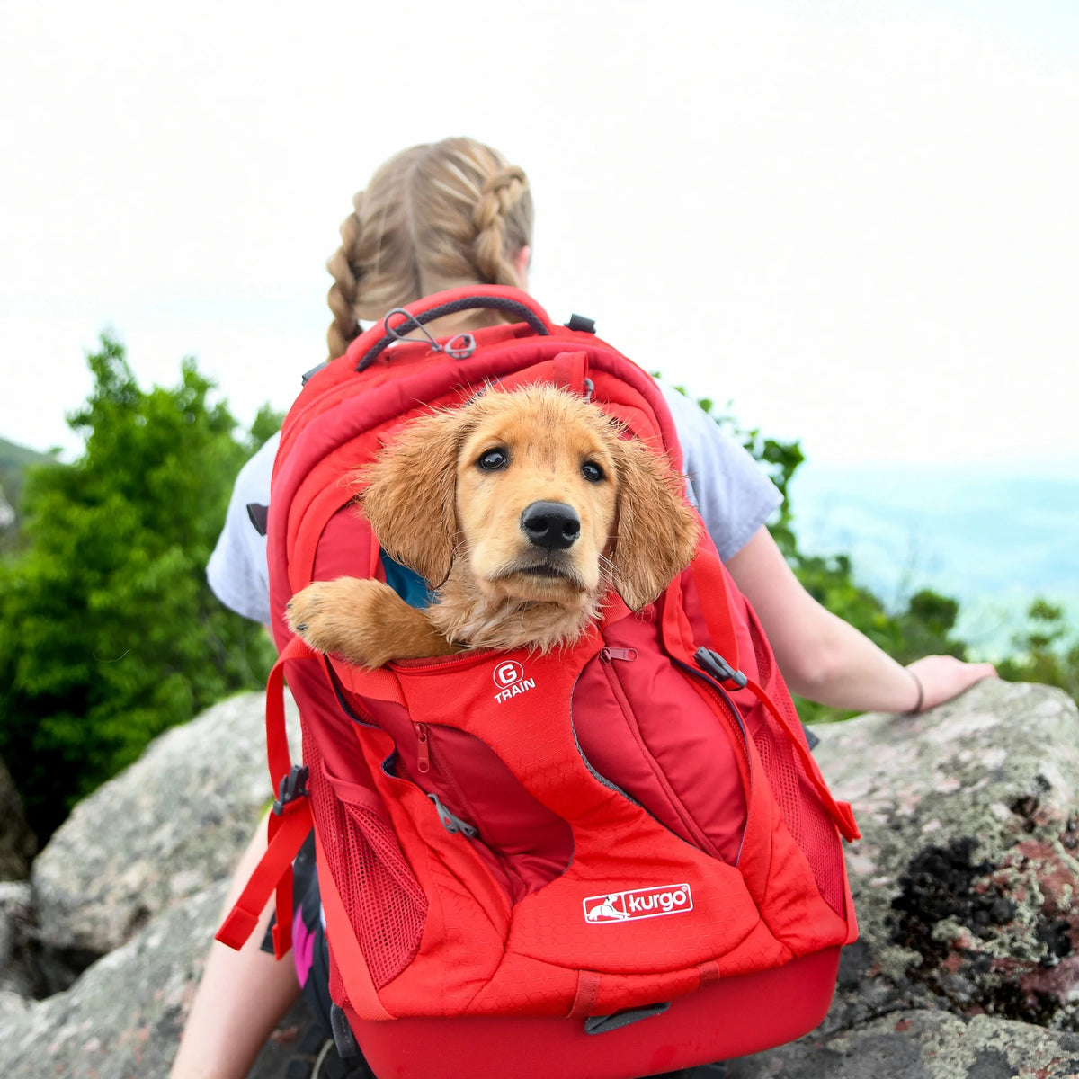 Dog Carrier Backpack with Chest Straps & Hip Belt, Reflective, Waterproof Bottom V33367