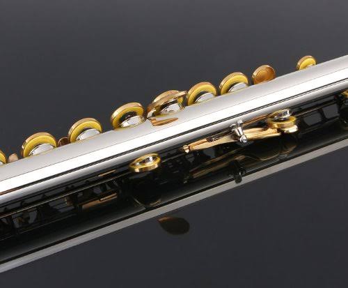Closed Hole C Flute with Case, Tuning Rod and Cloth, Joint Grease and Gloves L6032