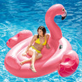 2-Pack Flamingo Island X4887