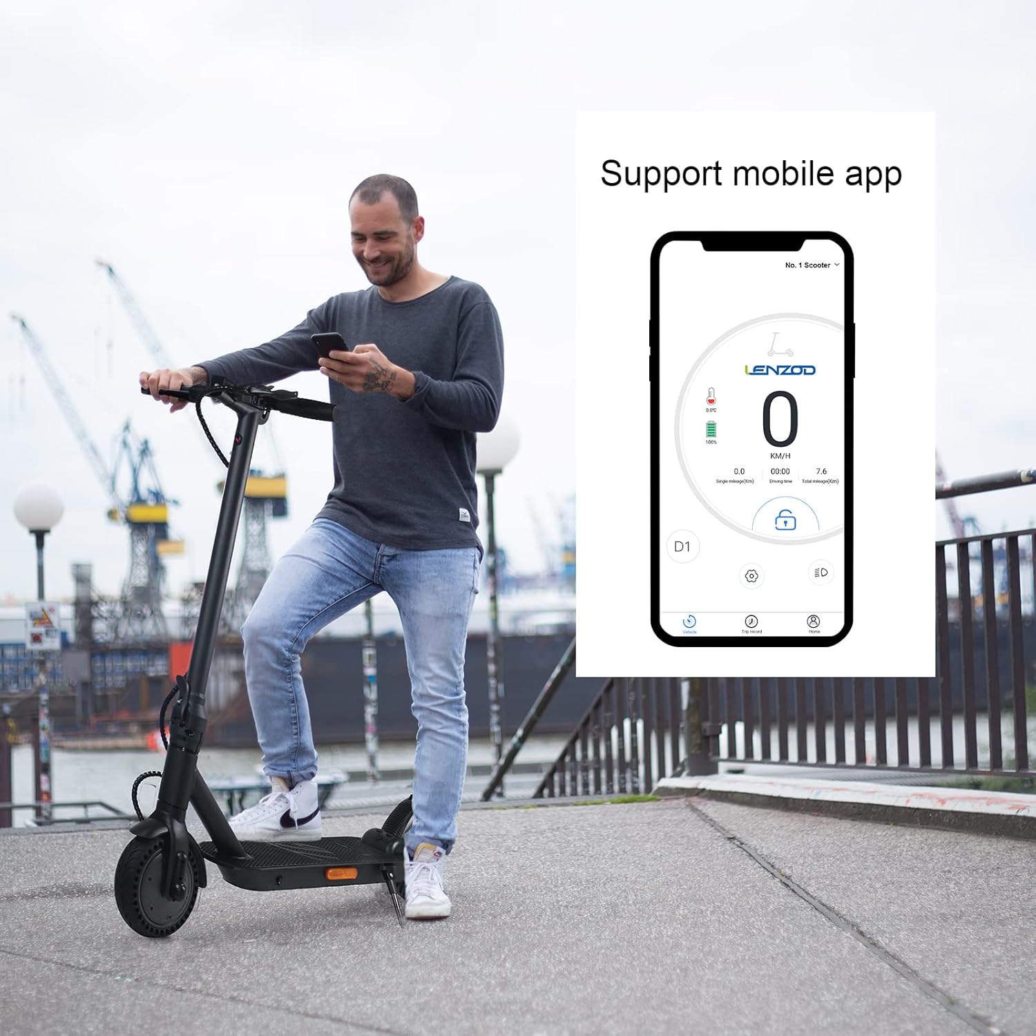 Foldable Electric Scooter with 350W Motor, 8.5 Inch Solid Tire R593