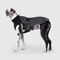 Black Expedition Dog Coat R79680