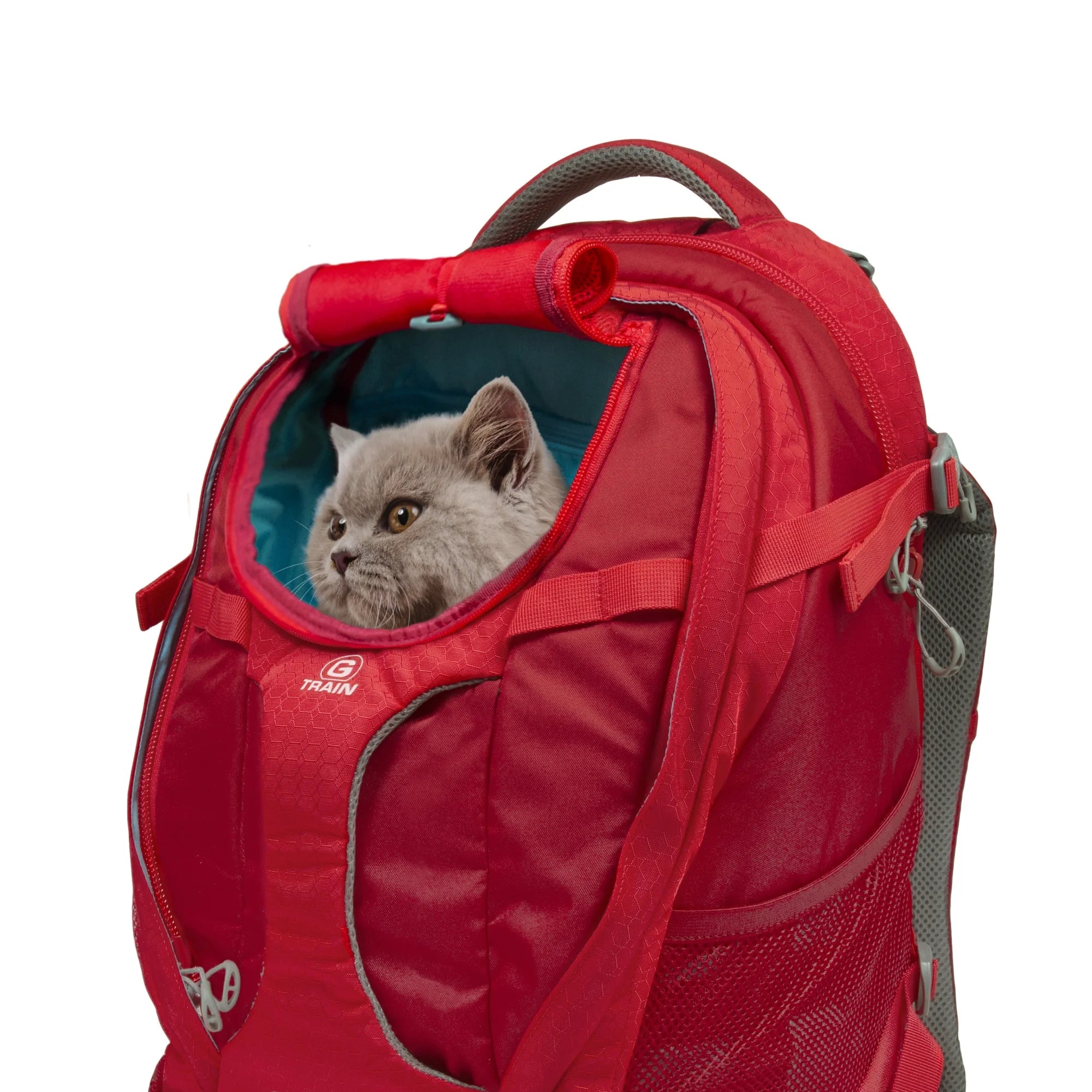 Dog Carrier Backpack with Chest Straps & Hip Belt, Reflective, Waterproof Bottom V33367