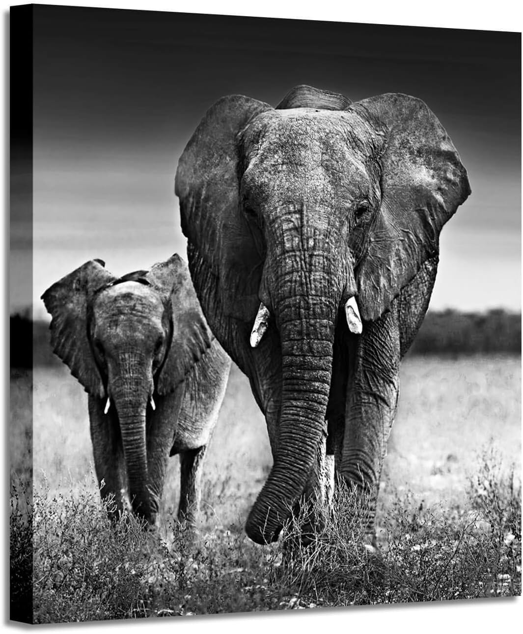 Black and White Elephant Mama and Baby Print on Canvas Wall Decor X42714
