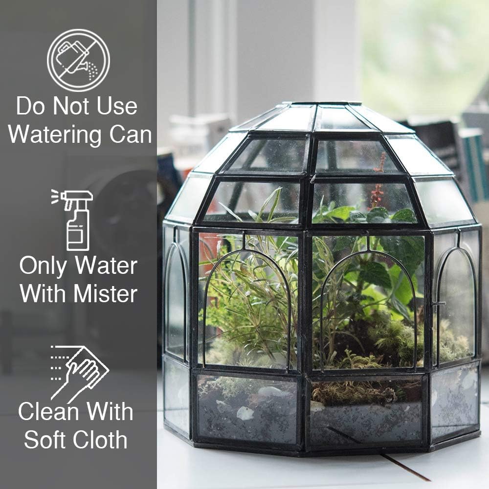 Large Glass Terrarium Y707124