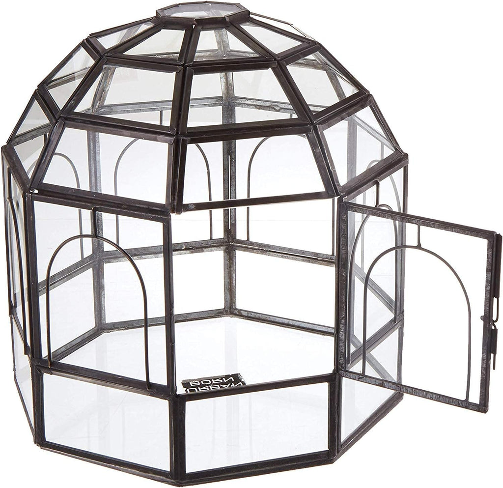 Large Glass Terrarium Y707124