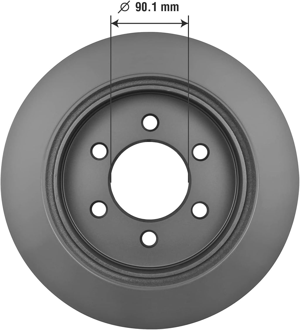 Rear Brake Rotor Pack of 2 E391